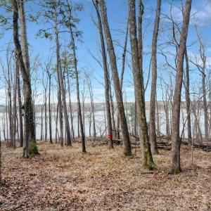 33-DJI_20260310094438