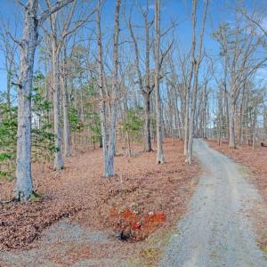 01-DJI_20260310092758