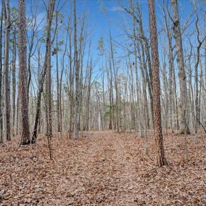 29-DJI_20260310094258