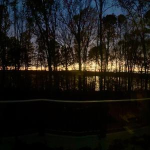 IMG_2751