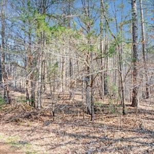 21-DJI_20260301113552