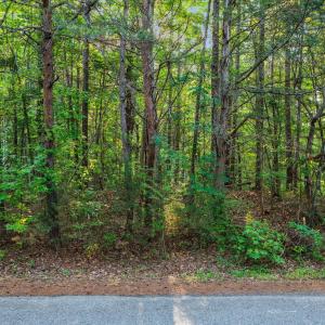 2-web-or-mls-untitled-2