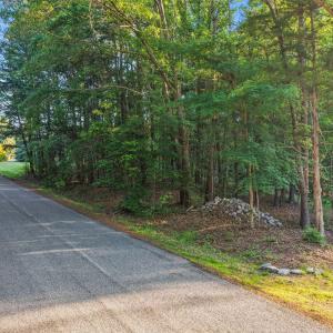 3-web-or-mls-untitled-3