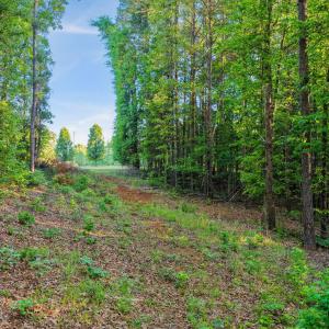 11-web-or-mls-untitled-11
