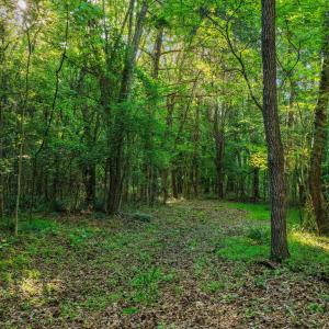 13-web-or-mls-untitled-13