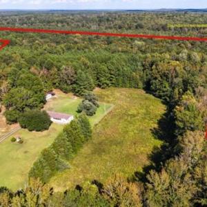 EQcU86JeUziPvmaJMbdk@1bb3b3fb3a