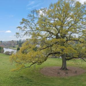 1-web-or-mls-untitled-11