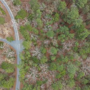 6-web-or-mls-untitled-10