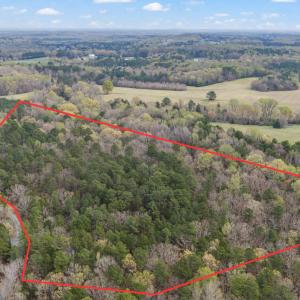 7-web-or-mls-Untitled design