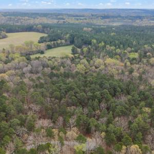 9-web-or-mls-untitled-3