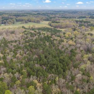 10-web-or-mls-untitled-5