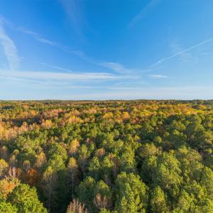 Fall Land 1