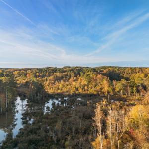 Fall Land 2