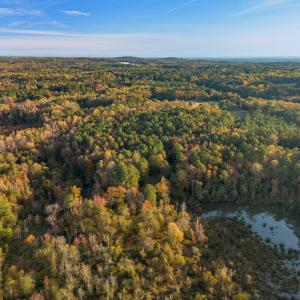 Fall Land 3