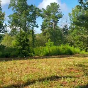 Land Image 4