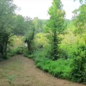 Land Image 8