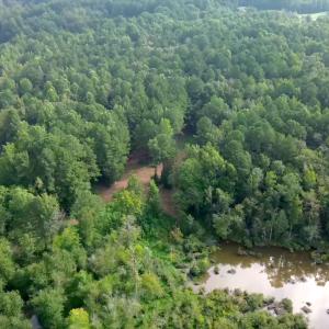 Land Image 13