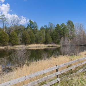 70-web-or-mls-untitled-42