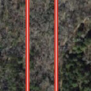 Screenshot 2026-03-20 at 10.00.25AM