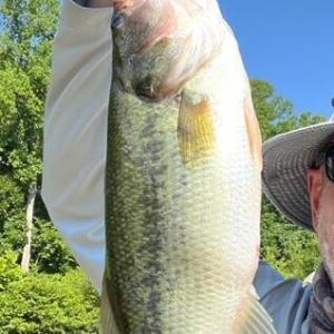 20240706023653454518000000-o