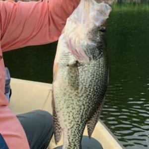 20240706023655065679000000-o