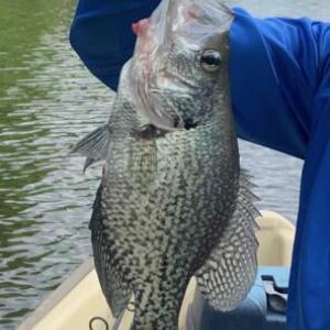 20240706023659975002000000-o