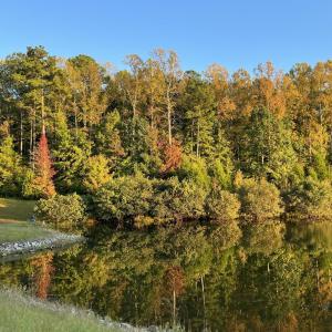 20240706020609094436000000-o