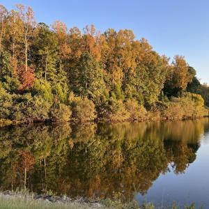 20230923221530625938000000-o