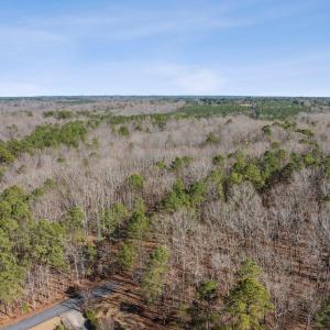 9-web-or-mls-DJI_20250228145751_0589_D