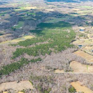 David Moore Road-LOTs-Drone-9