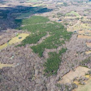 David Moore Road-LOTs-Drone-7