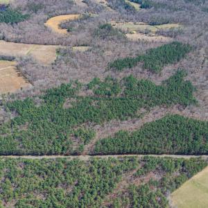 David Moore Road-LOTs-Drone-1