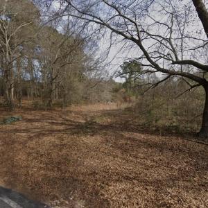 Image 3-21-26 at 10.48PM