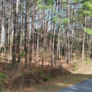 PHOTO-2026-03-14-19-46-17 3