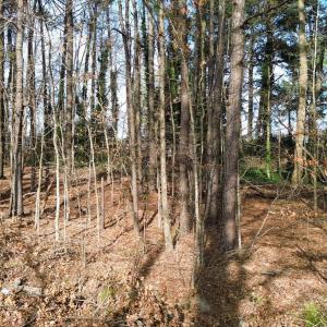 PHOTO-2026-03-14-19-46-17 5