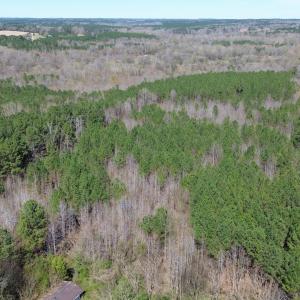 DJI_0103