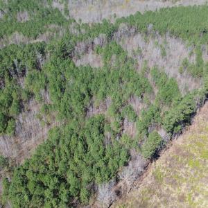 DJI_0107