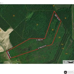 Photo #3 of Darden, Faison, NC 31.4 acres