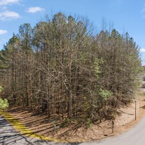 1-web-or-mls-untitled-1