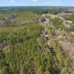 6-web-or-mls-untitled-6