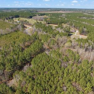 7-web-or-mls-untitled-7