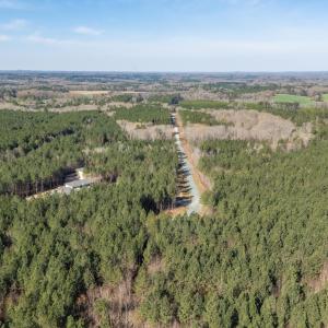 DJI_20260319101929_0031_D-HDR