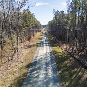 DJI_20260319103358_0176_D-HDR