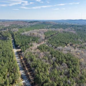 DJI_20260319102704_0121_D-HDR