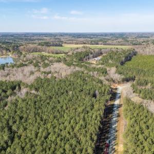 DJI_20260319102529_0106_D-HDR