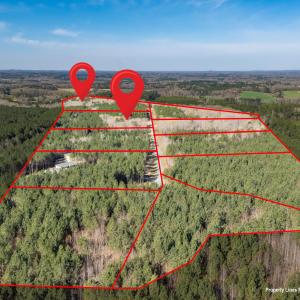 DJI_20260319101651_0061_D-HDR