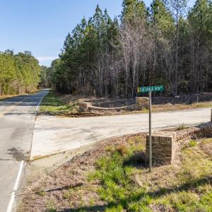 DJI_20260319103655_0201_D-HDR