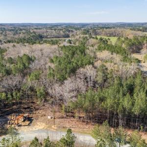 DJI_20260319103035_0156_D-HDR