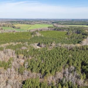 DJI_20260319102610_0116_D-HDR