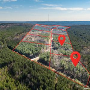 DJI_20260319101628_0006_D-HDR